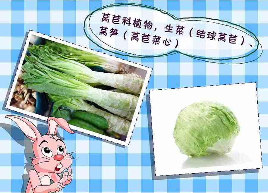 《养生宝典》养生宝典 第14集 第29页