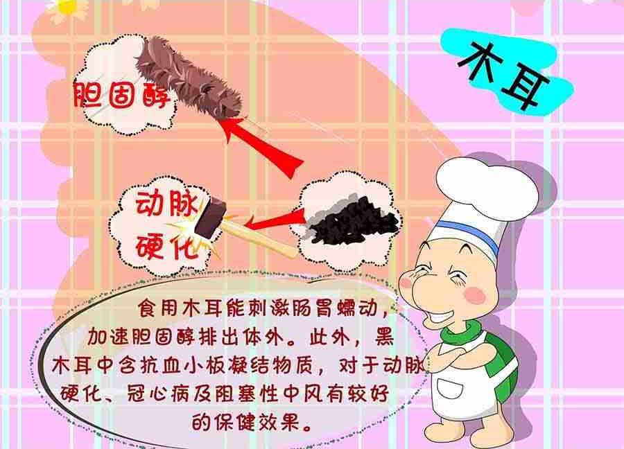 《养生宝典》养生宝典 第18集 第23页
