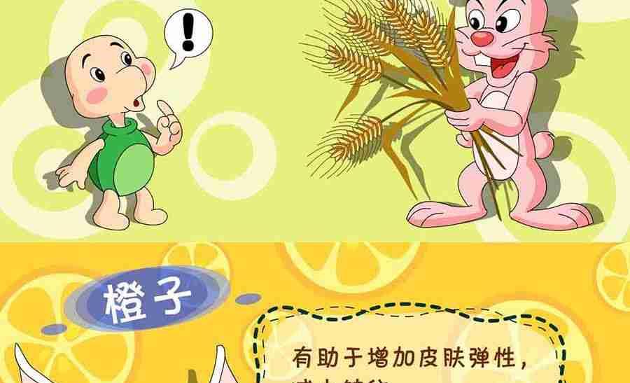 《养生宝典》养生宝典 第17集 第13页