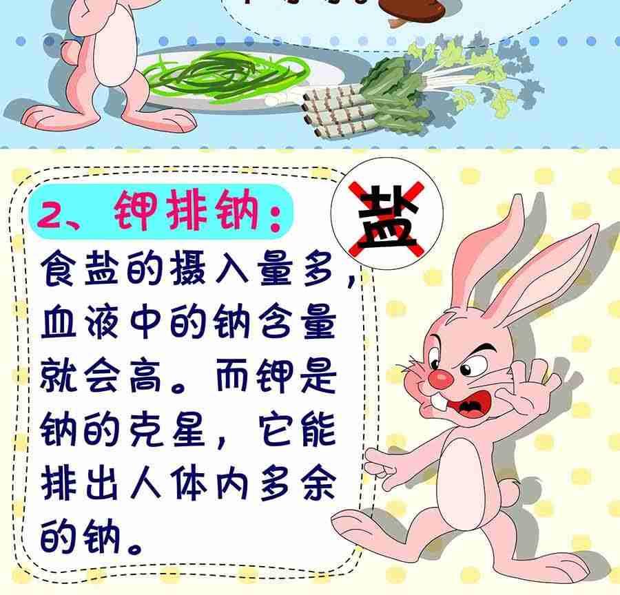 《养生宝典》养生宝典 第22集 第6页