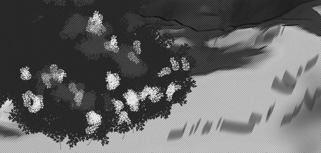 《龙马精神-破晓红莲》002-C 第9页