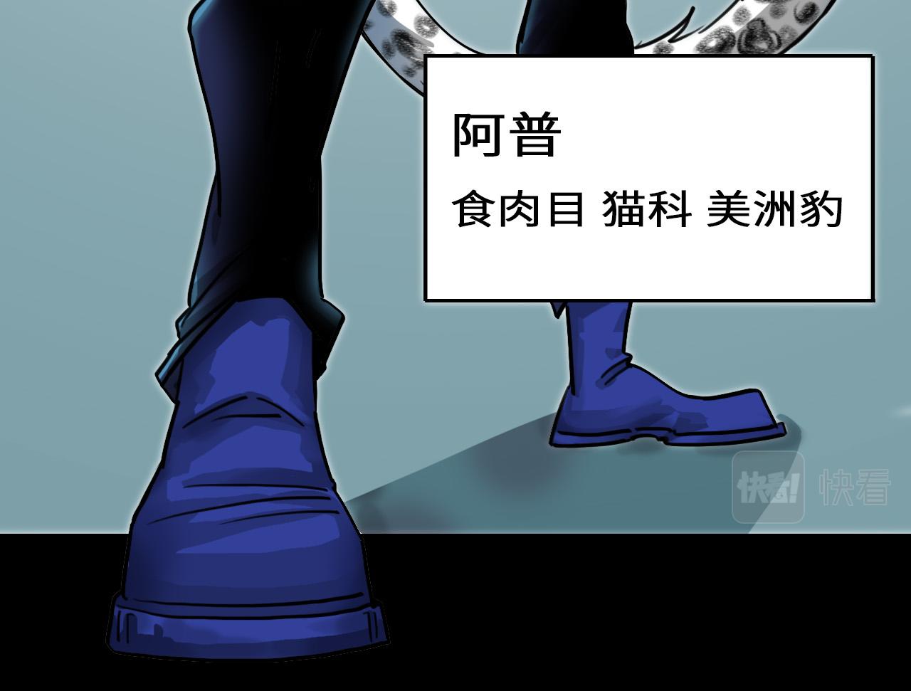 《通缉兔子》结果已定 第46页