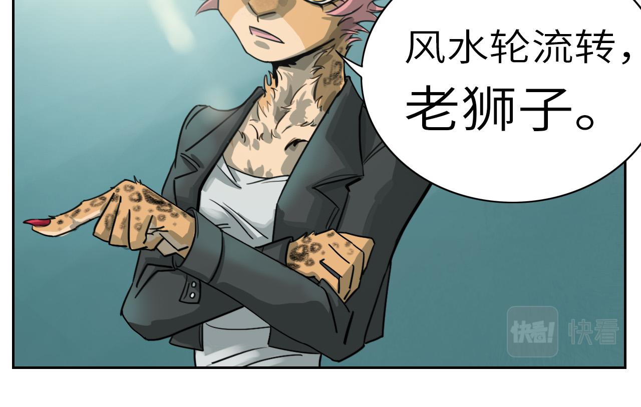 《通缉兔子》结果已定 第23页