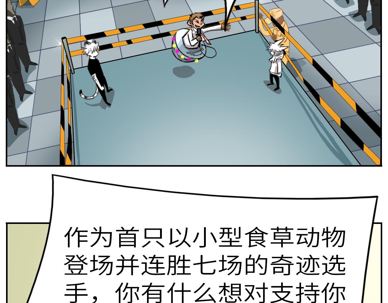 《通缉兔子》结果已定 第49页