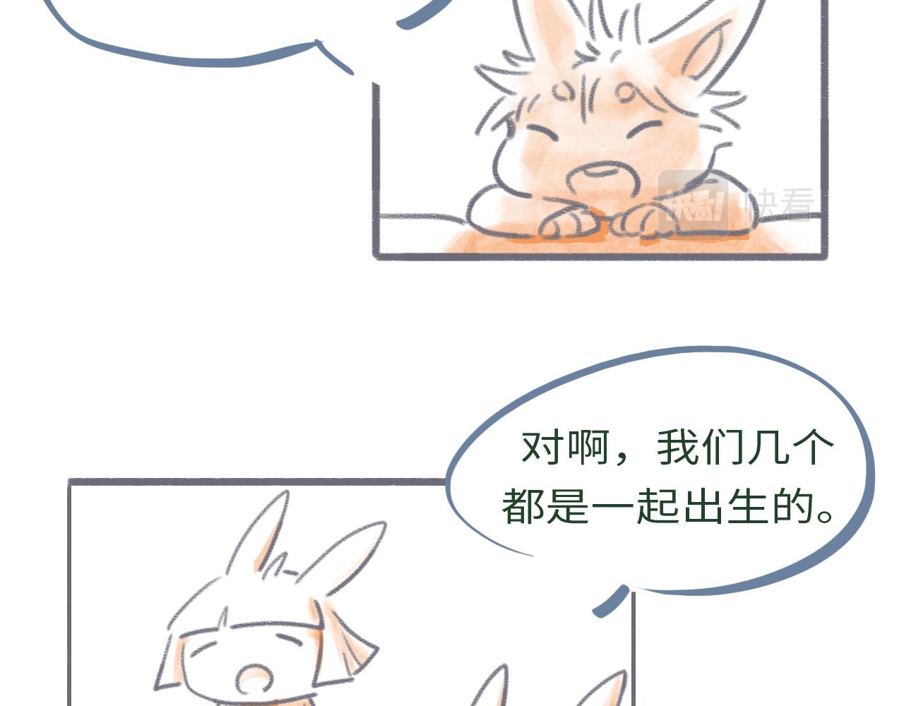 《通缉兔子》【番外】取名 第7页