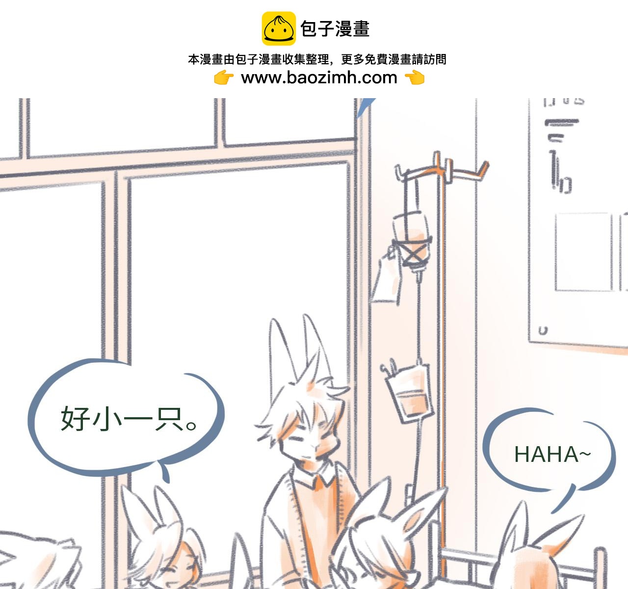 《通缉兔子》【番外】取名 第2页