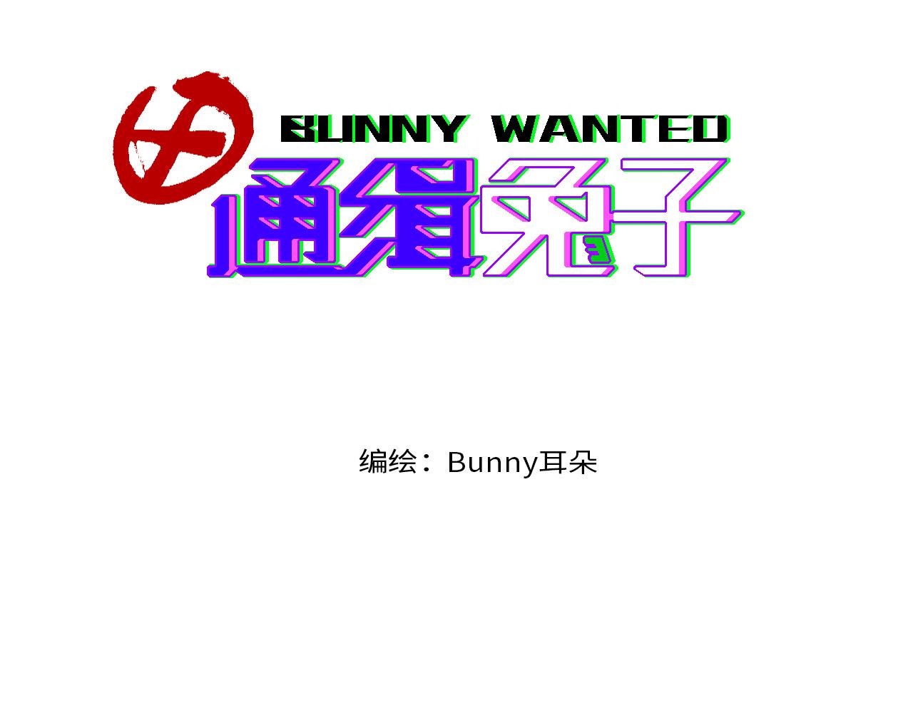 《通缉兔子》砰！ 第31页