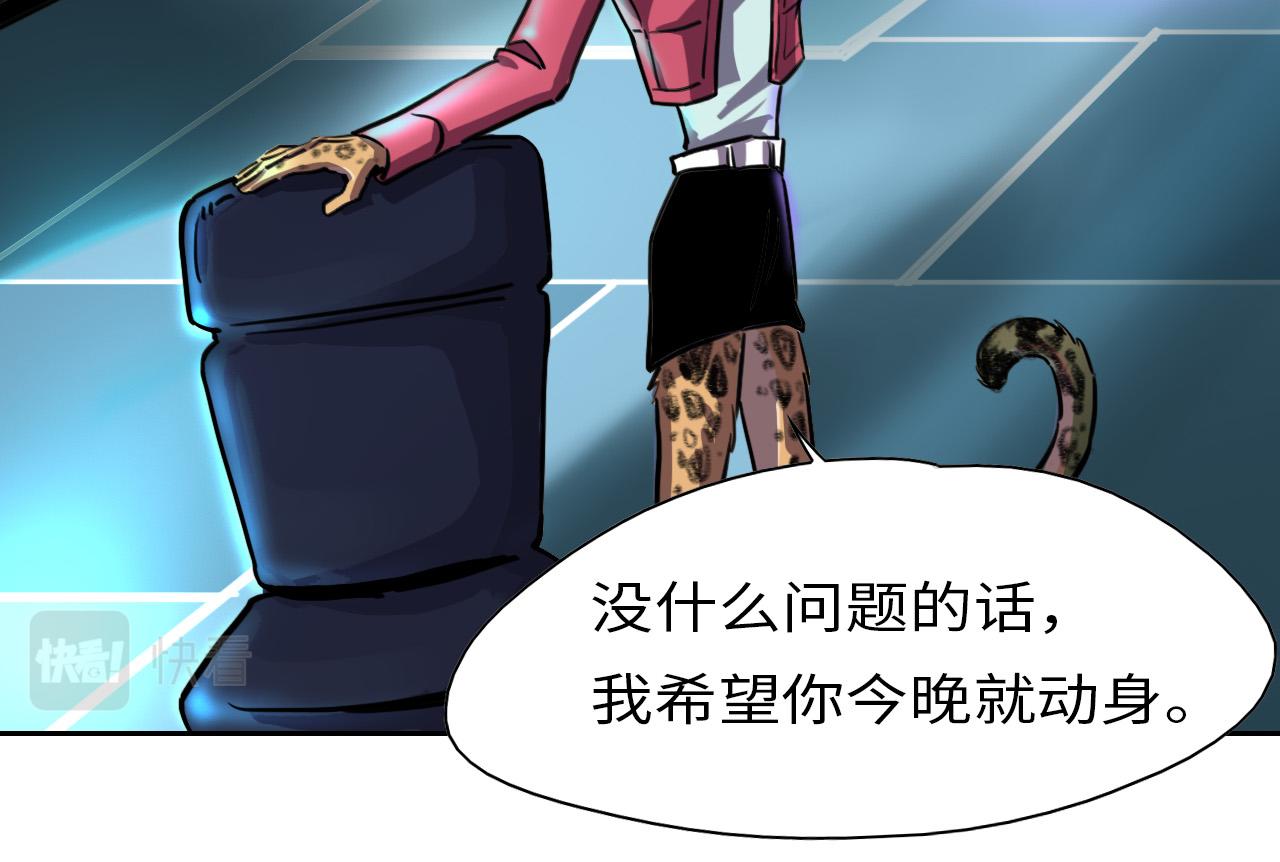 《通缉兔子》开始 第35页