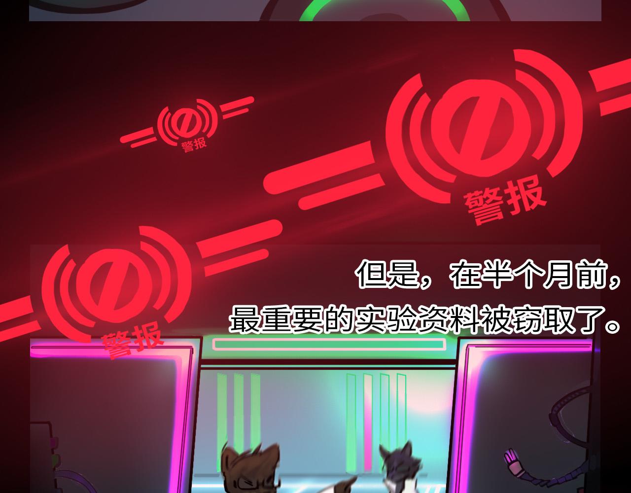 《通缉兔子》开始 第3页