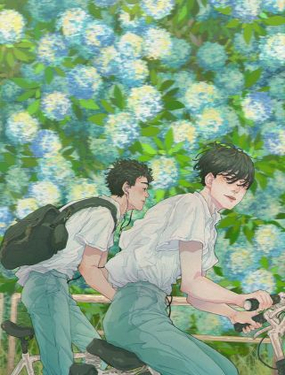 《你是我目之所及最美的风景》漫画封面图 - tl漫画