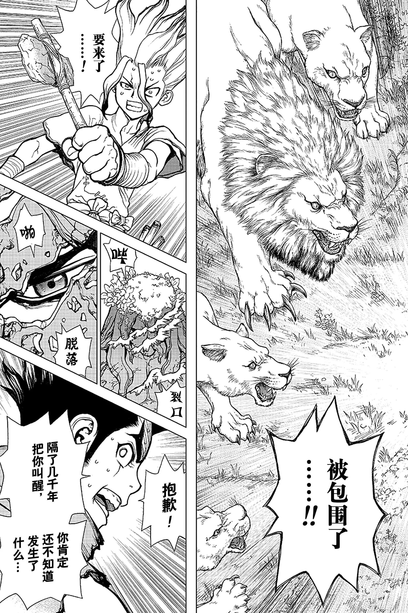《Dr.STONE》第3话 KING OF THE 第15页
