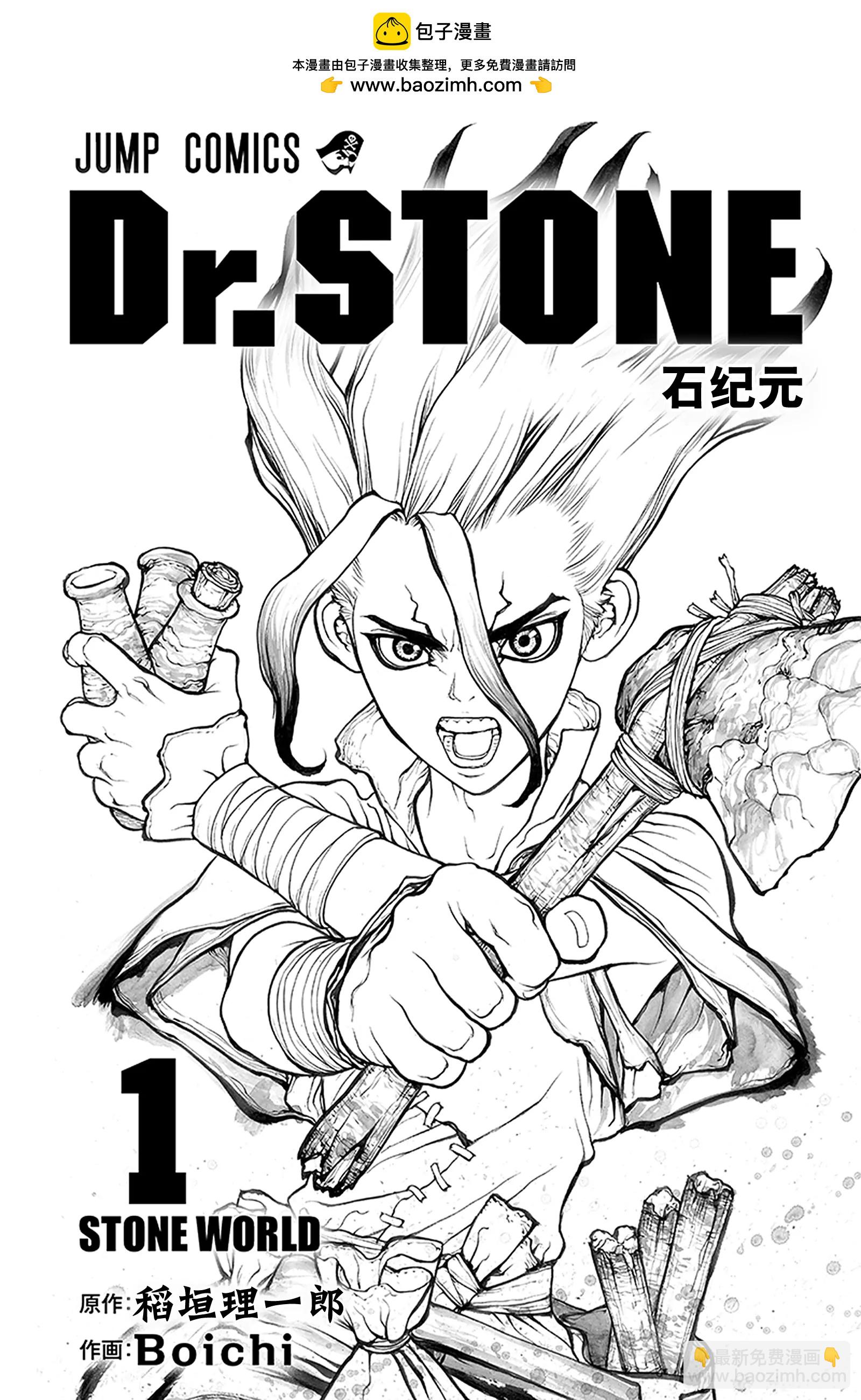 《Dr.STONE》第1话 STONE WORLD 第2页