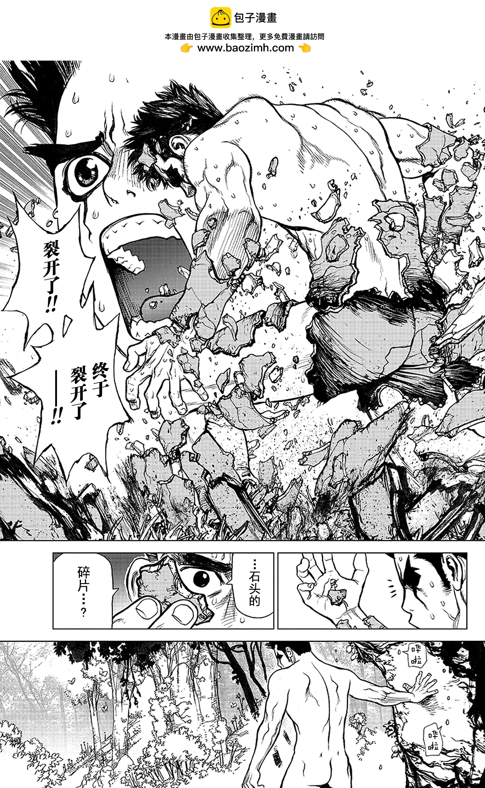 《Dr.STONE》第1话 STONE WORLD 第36页