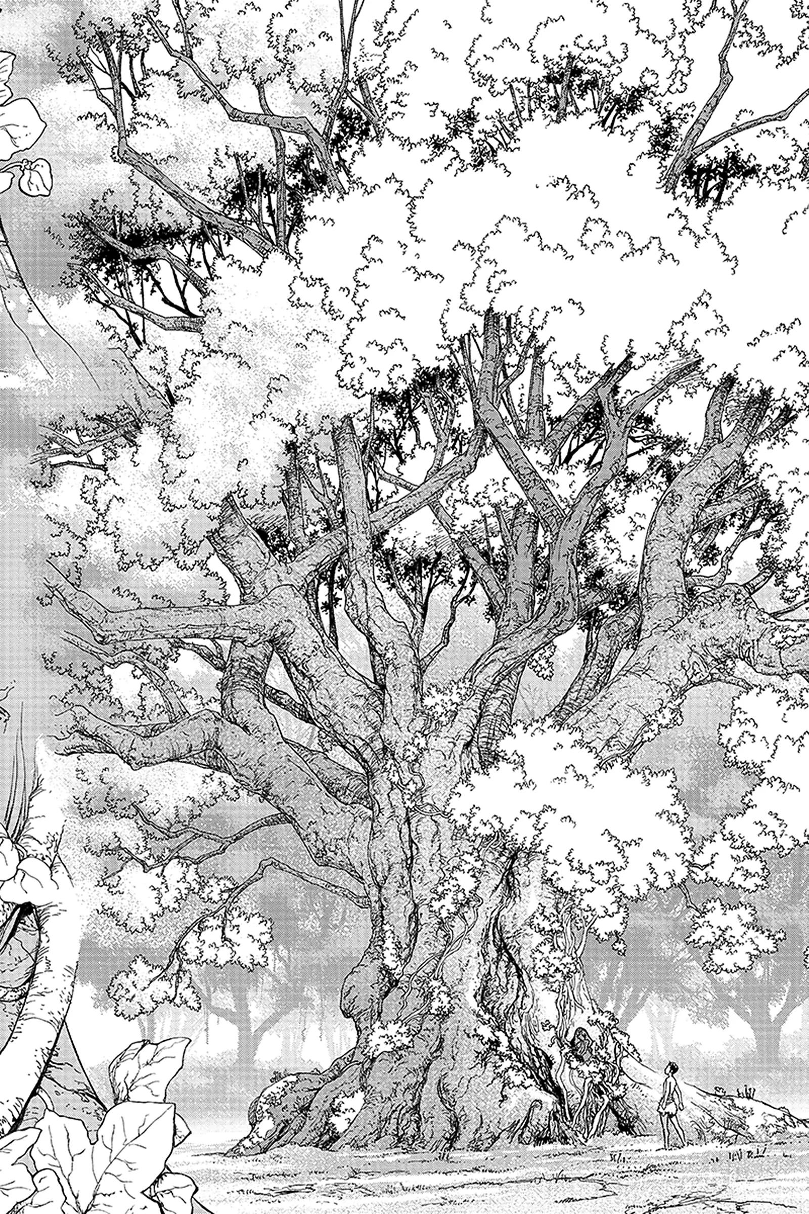 《Dr.STONE》第1话 STONE WORLD 第41页