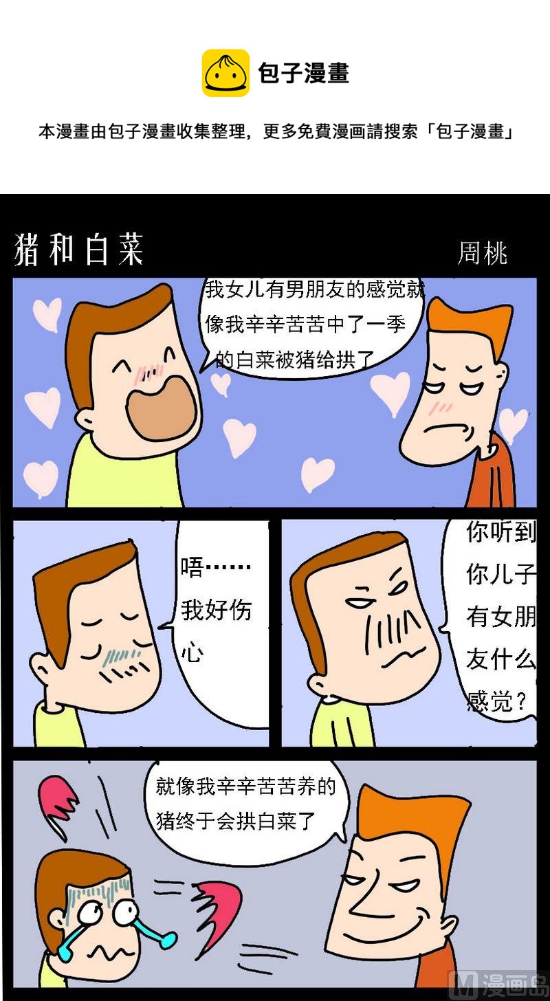《重要决定》3 猪和白菜 第1页