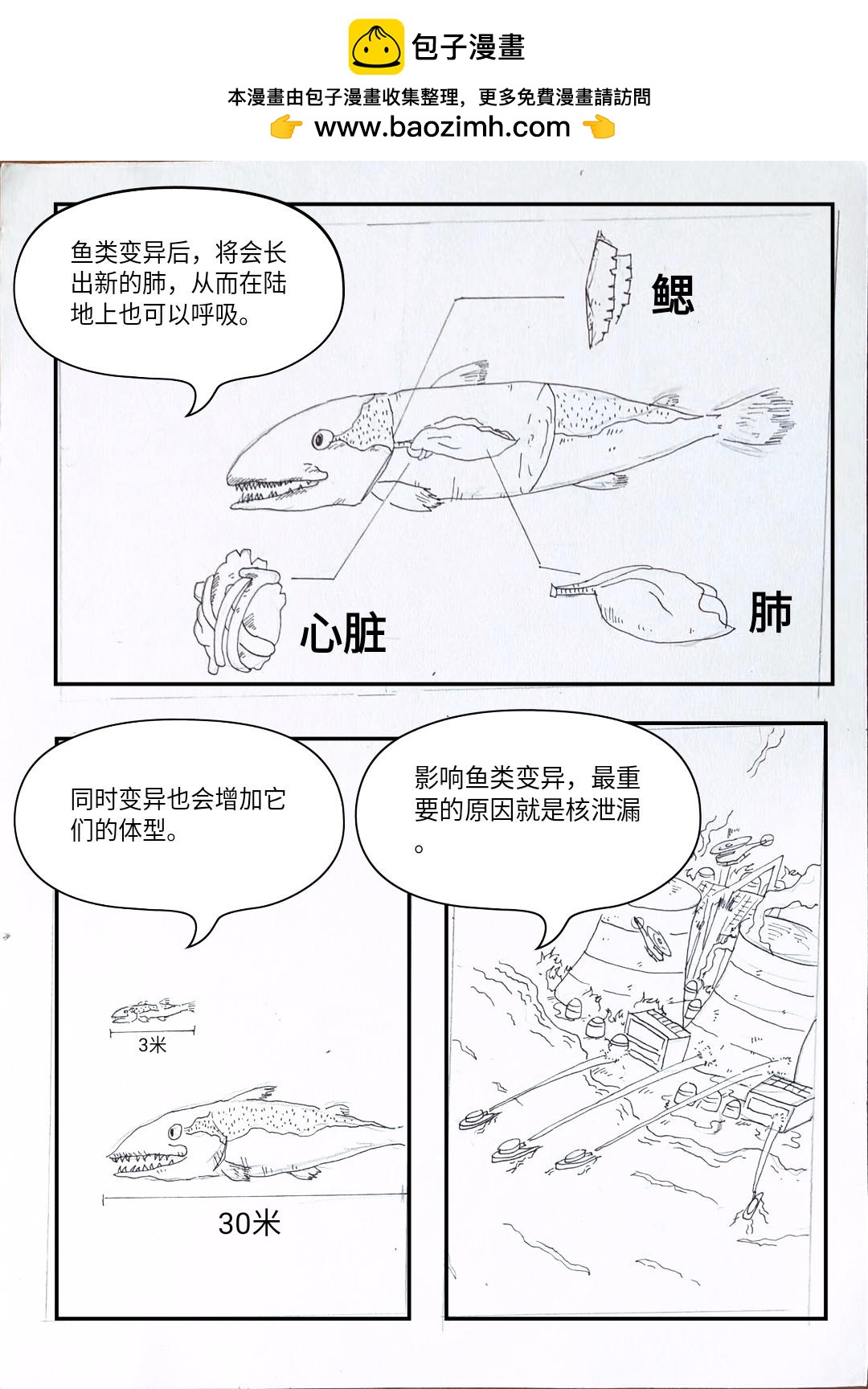 《变异之鱼》鱼类变异的根源 第3页