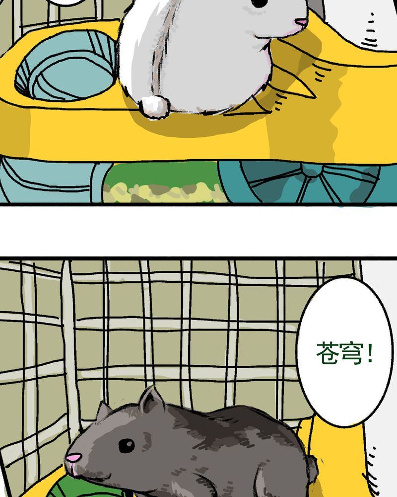 《当日常变成非日常》当日常变成非日常 第16集 第12页