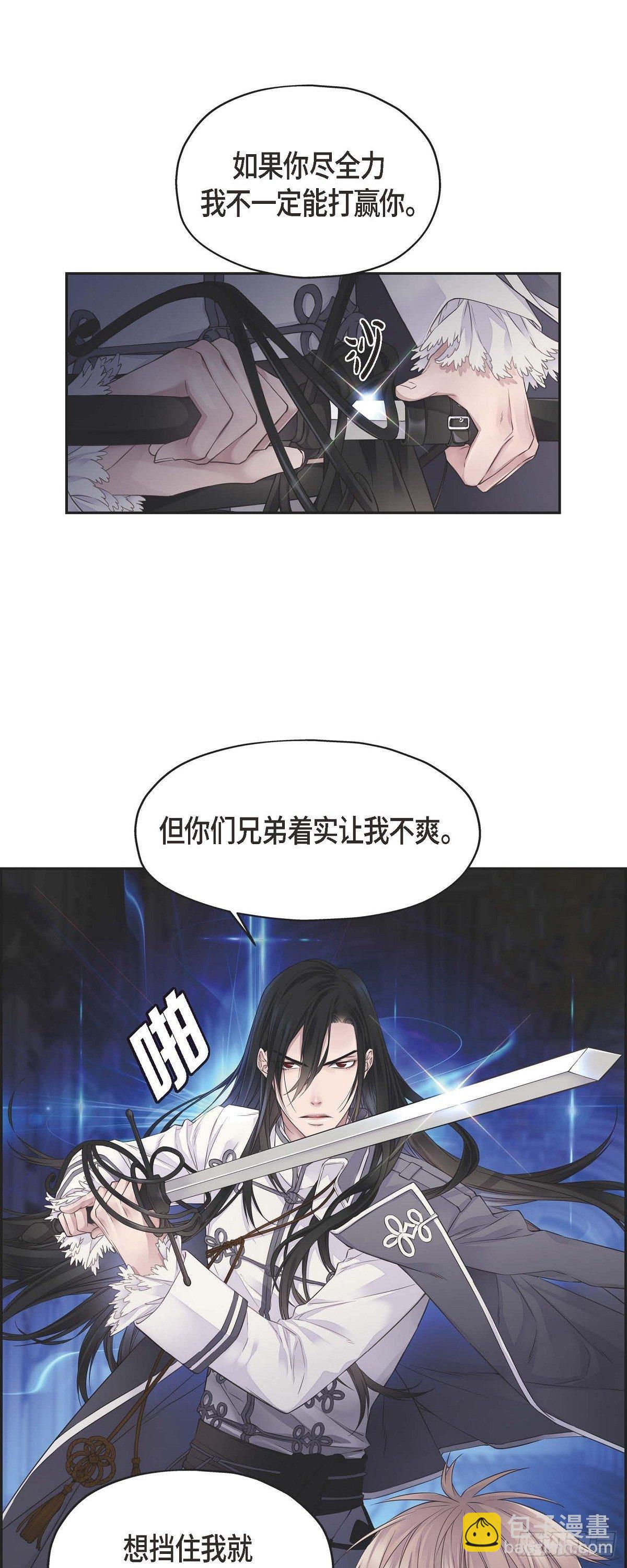 《骑士的梦无法成真》01. 皇帝的人 第8页