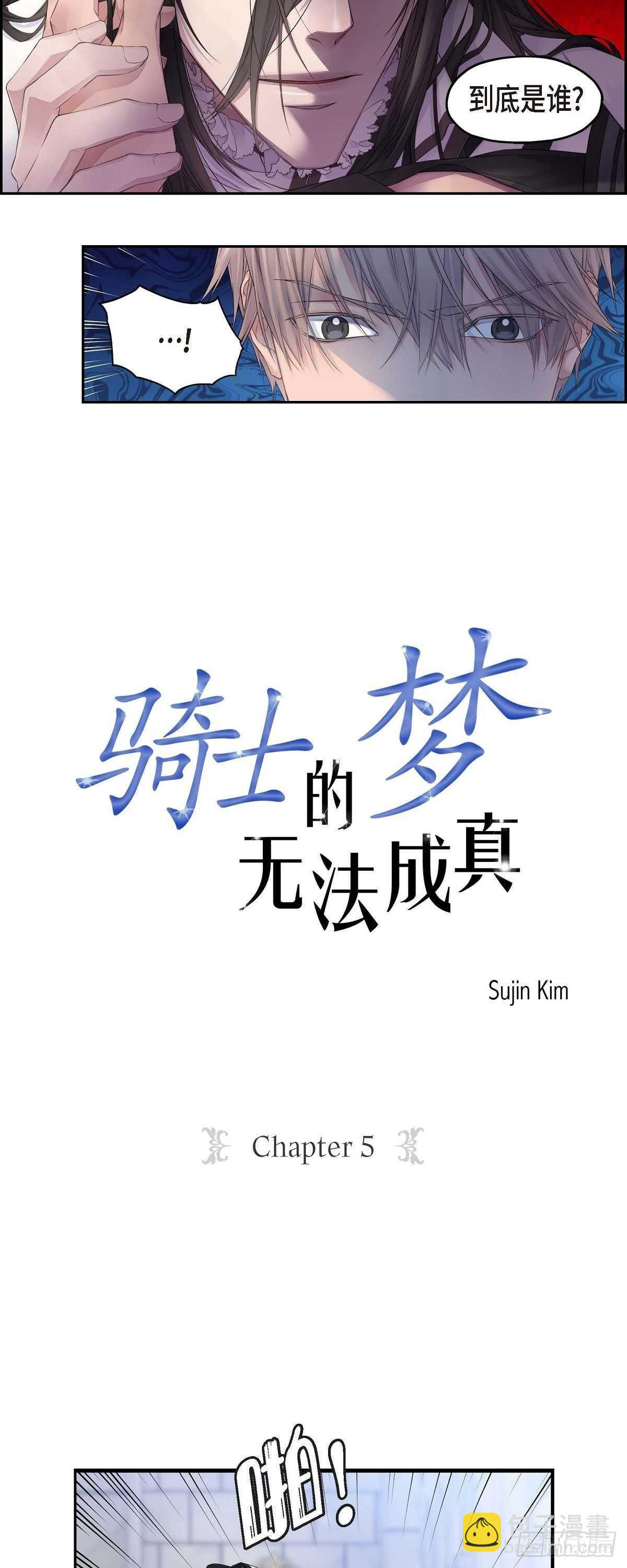 《骑士的梦无法成真》05.试探 第3页