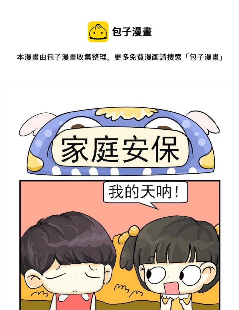 《家庭安保》1 家庭安保 第1页