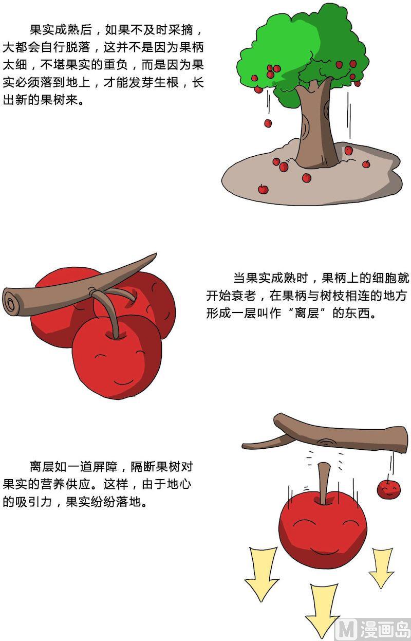 《十万个为什么之植物篇》03 第3页