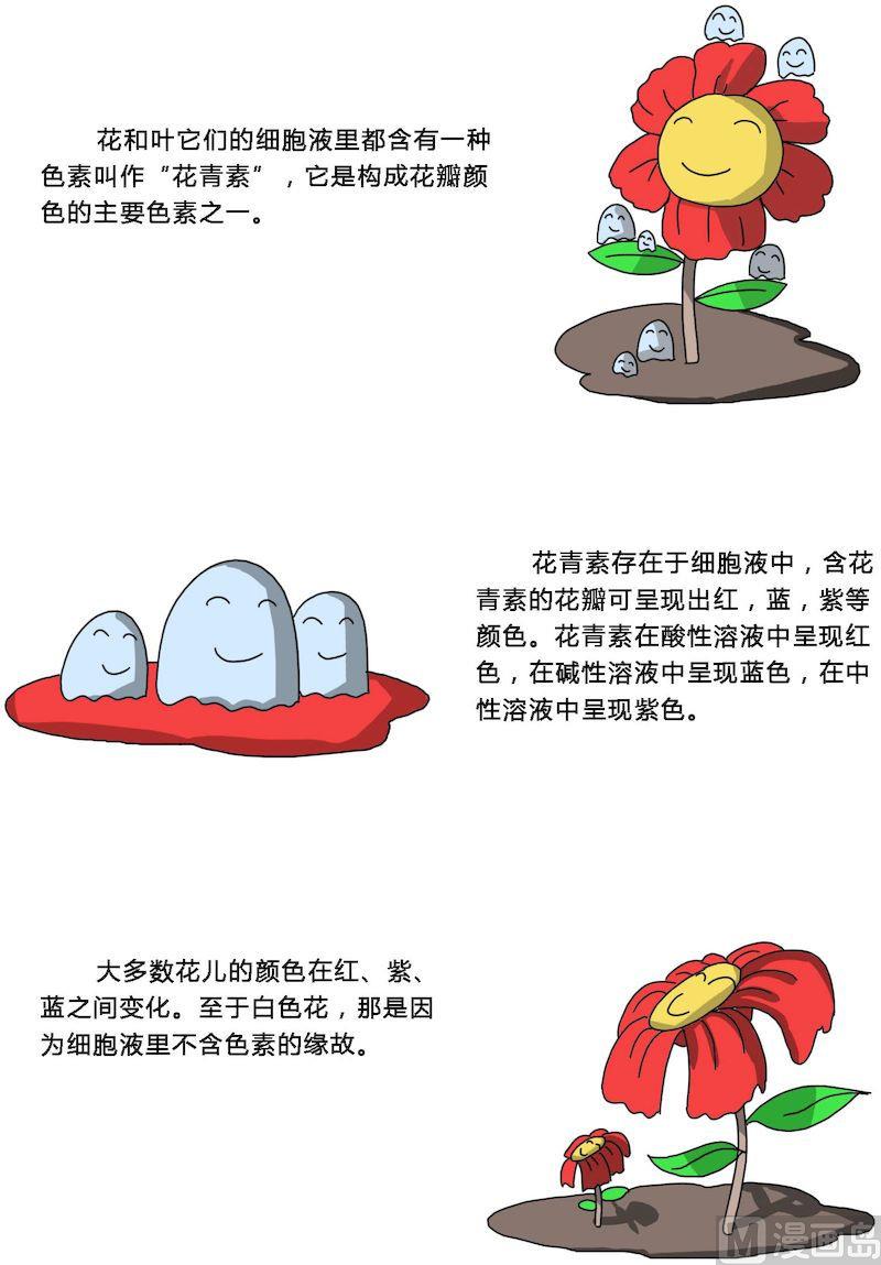 《十万个为什么之植物篇》03 第7页