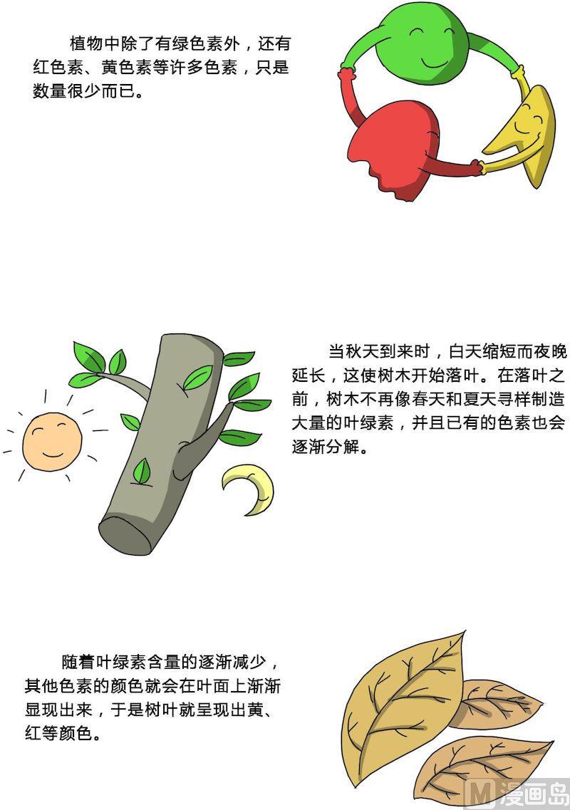 《十万个为什么之植物篇》04 第3页