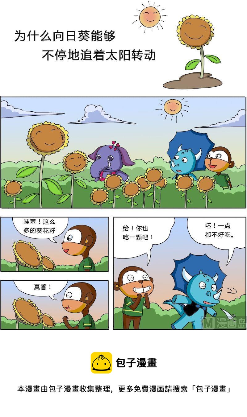《十万个为什么之植物篇》04 第5页