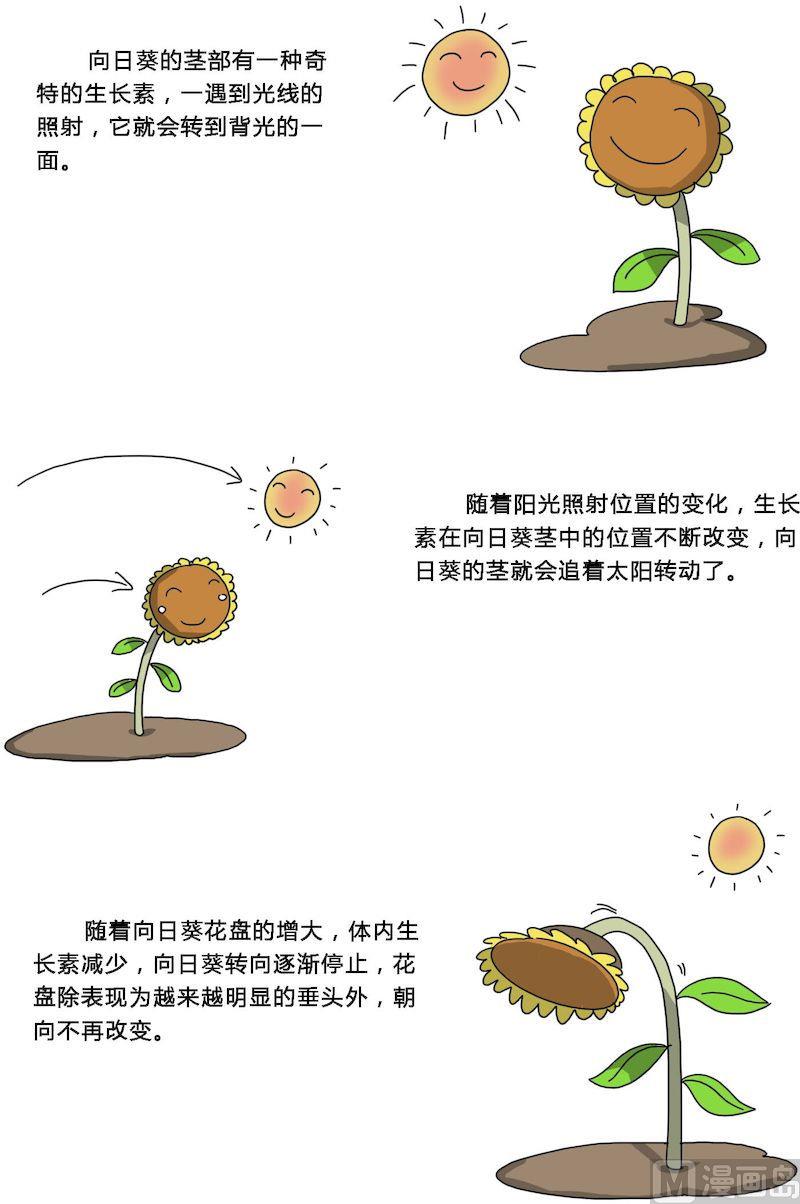 《十万个为什么之植物篇》04 第7页