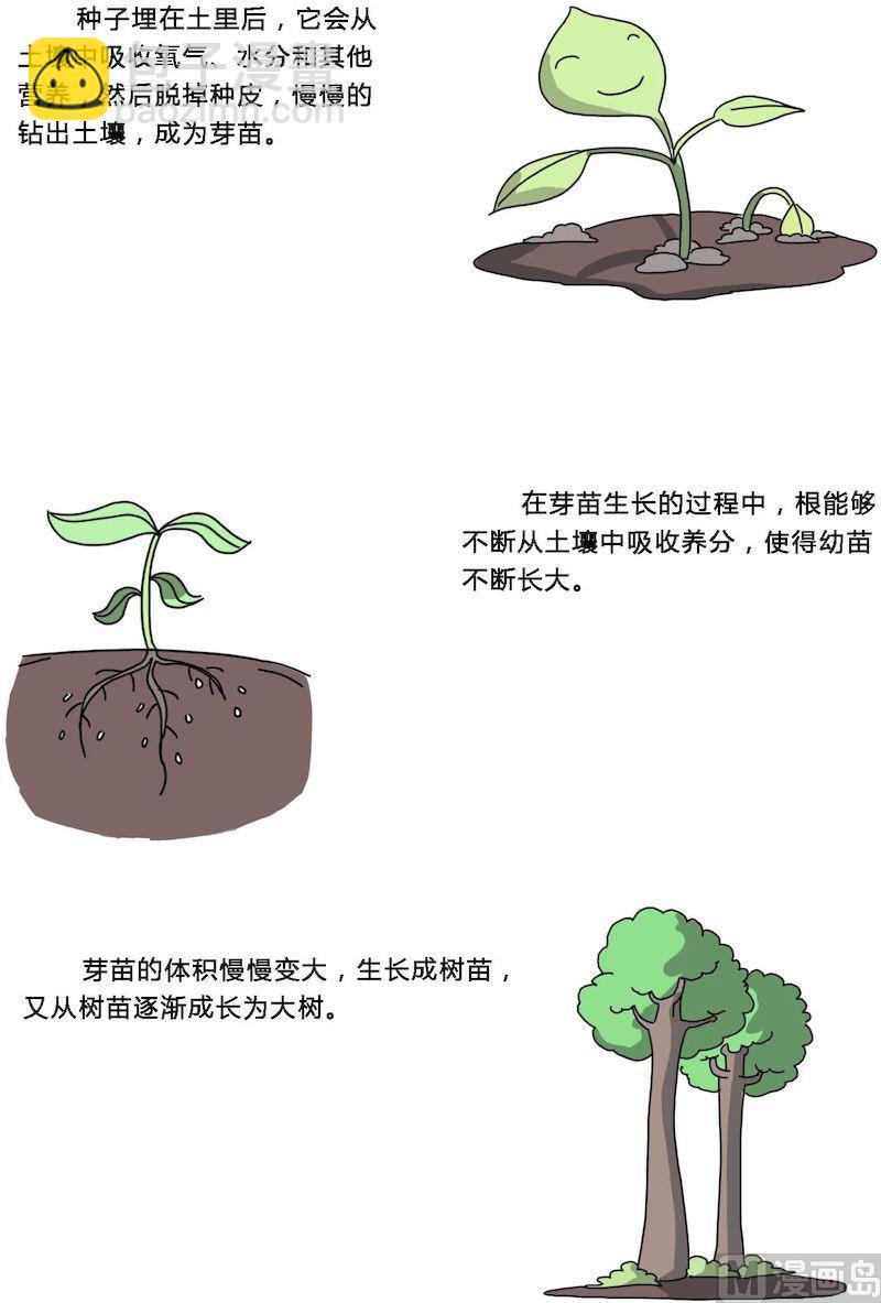 《十万个为什么之植物篇》01 第4页