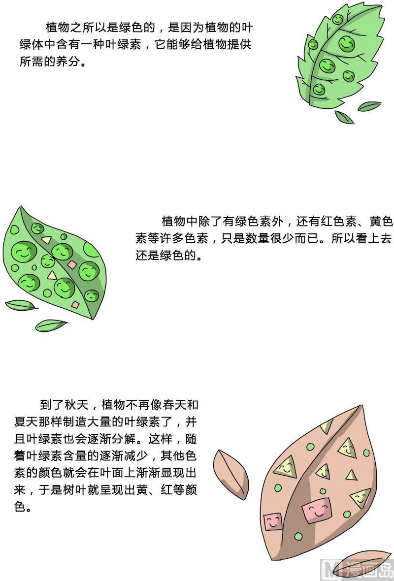 《十万个为什么之植物篇》01 第8页