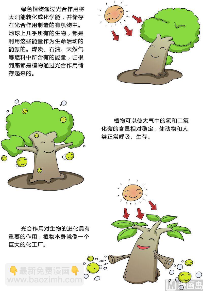 《十万个为什么之植物篇》07 第7页