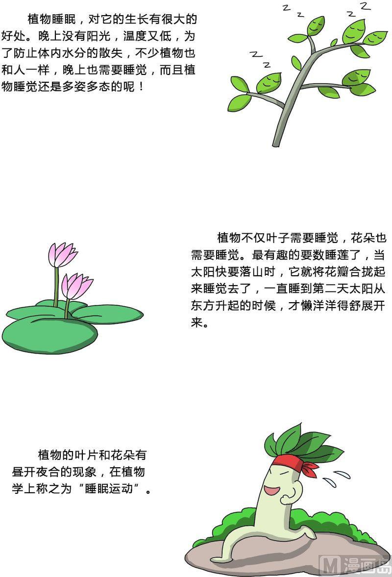 《十万个为什么之植物篇》05 第2页