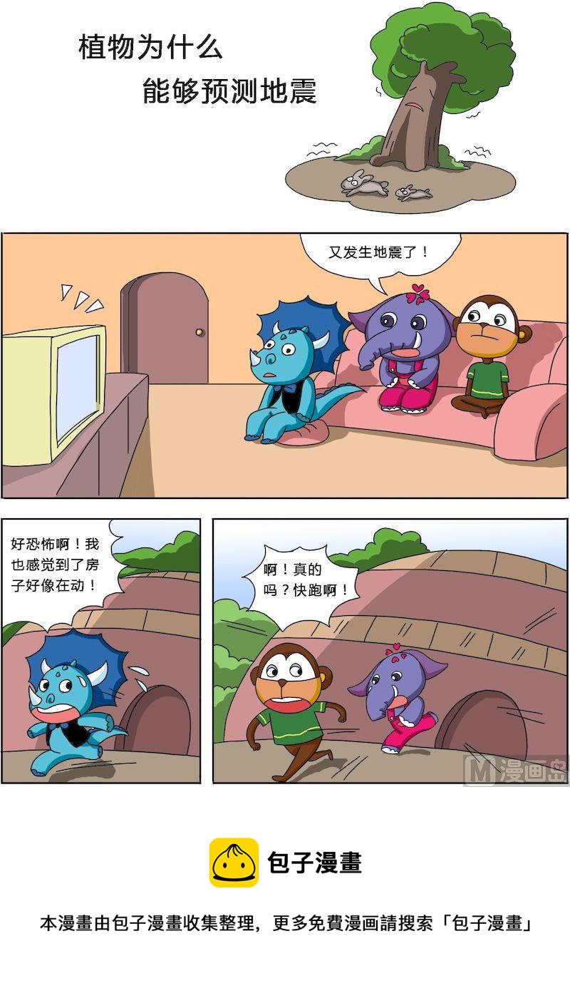 《十万个为什么之植物篇》06 第5页