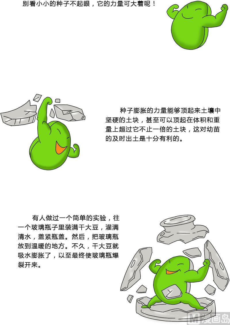 《十万个为什么之植物篇》10 第3页