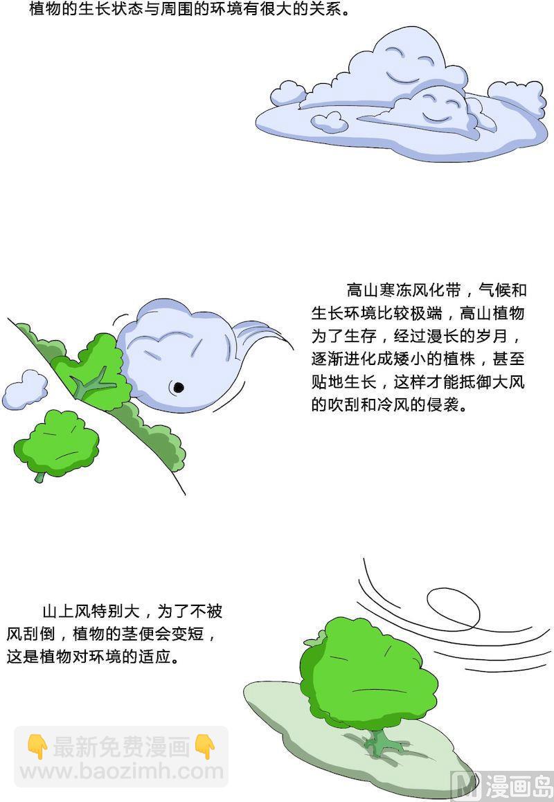 《十万个为什么之植物篇》12 第3页