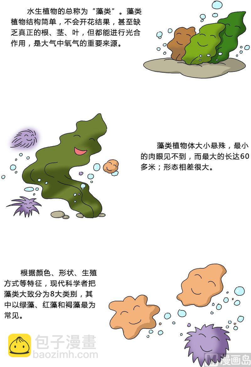 《十万个为什么之植物篇》12 第7页