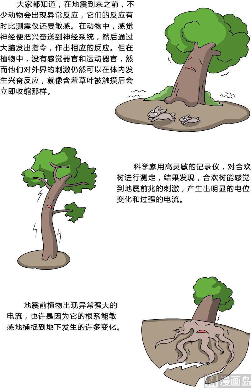 《十万个为什么之植物篇》06 第7页