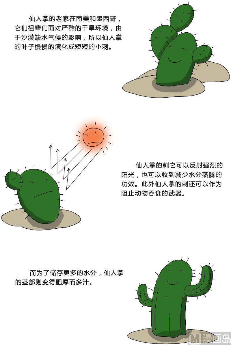 《十万个为什么之植物篇》11 第7页