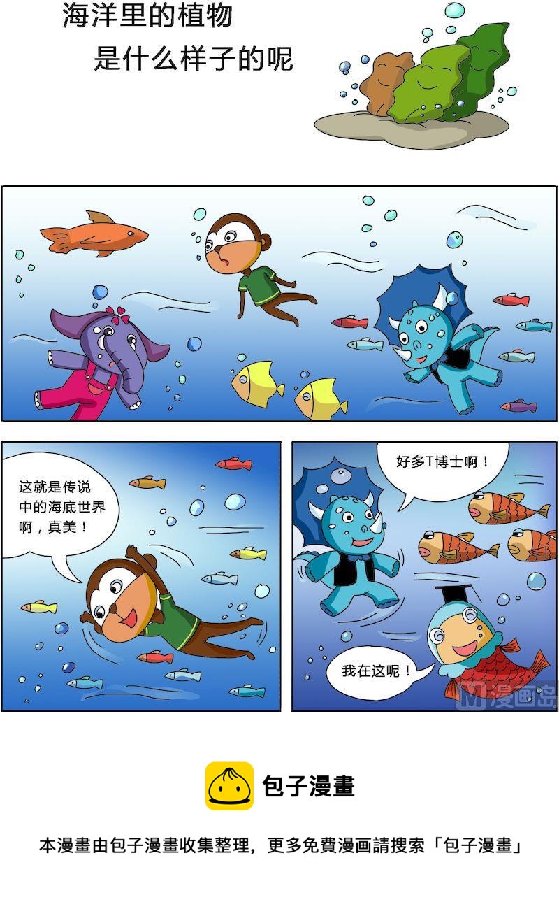 《十万个为什么之植物篇》12 第5页
