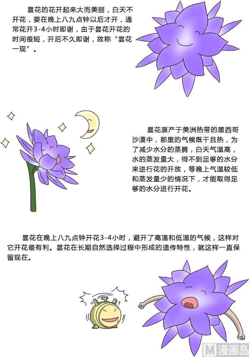 《十万个为什么之植物篇》09 第3页