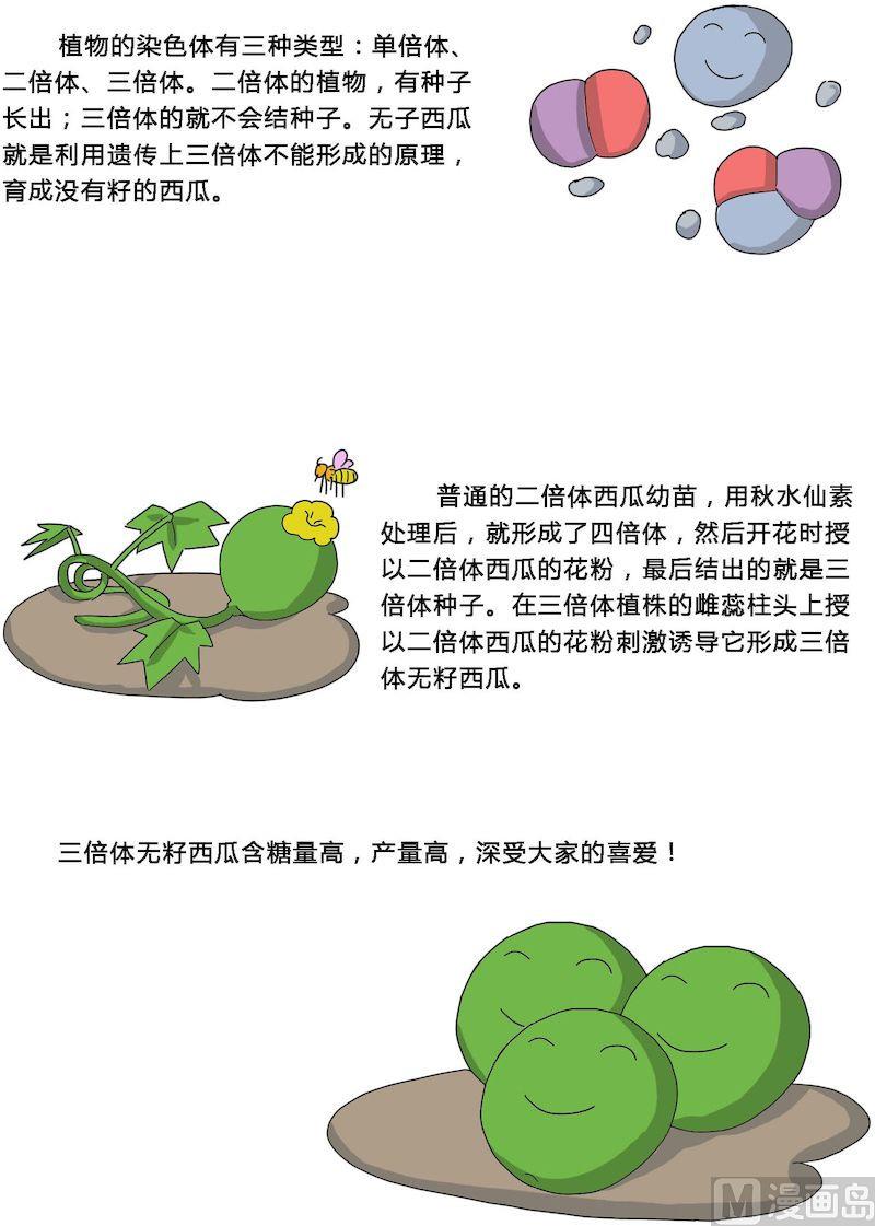 《十万个为什么之植物篇》09 第7页
