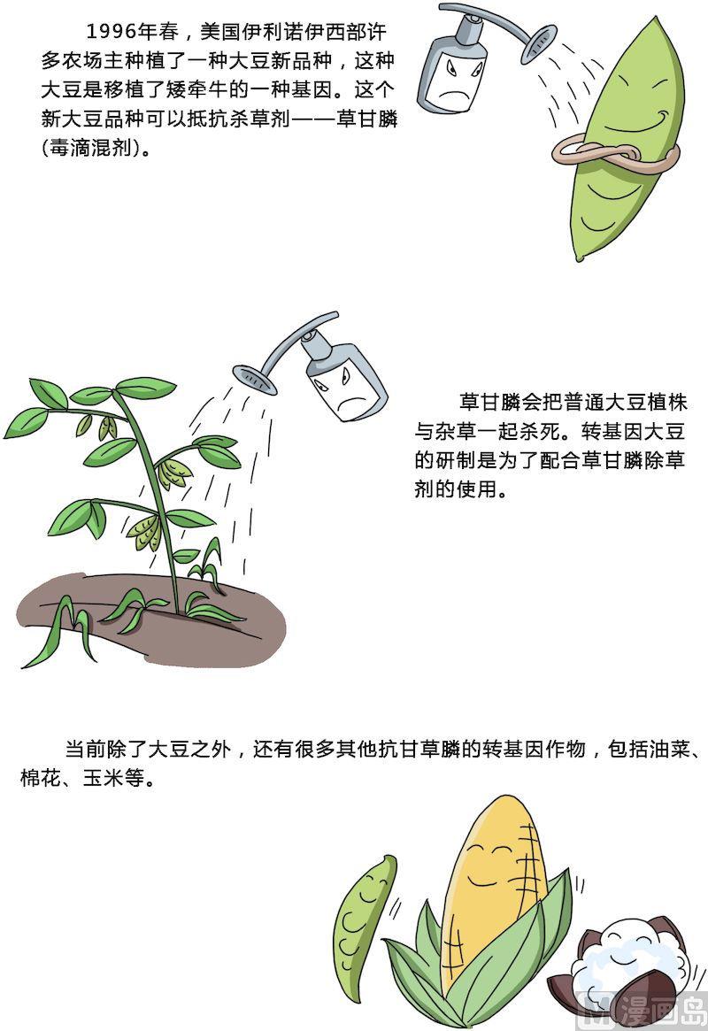 《十万个为什么之植物篇》13 第3页