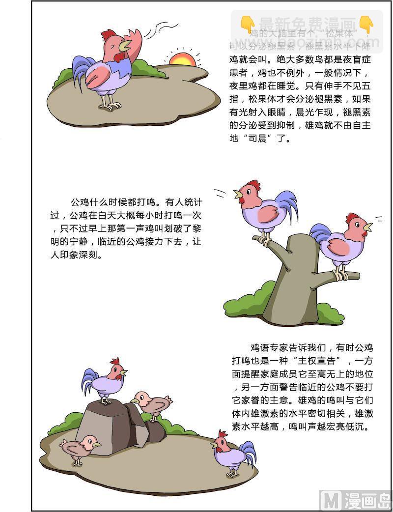 《十万个为什么第一部》03 第3页