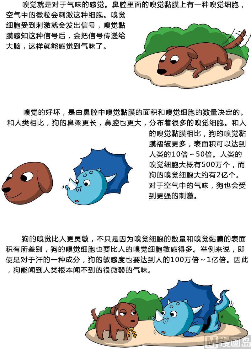 《十万个为什么第一部》04 第3页