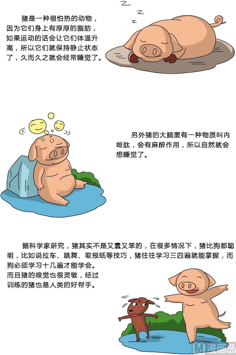 《十万个为什么第一部》04 第7页