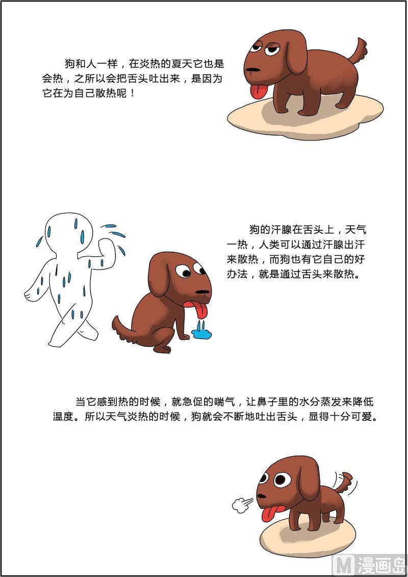 《十万个为什么第一部》06 第3页