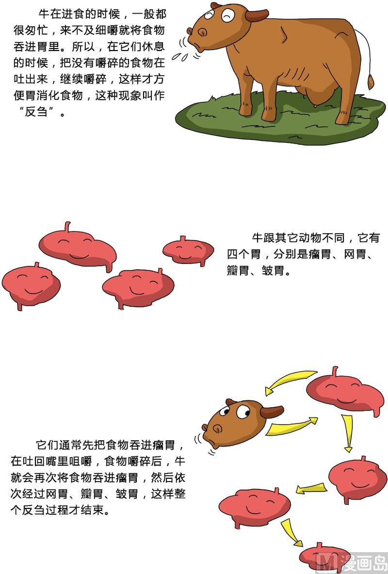 《十万个为什么第一部》07 第7页