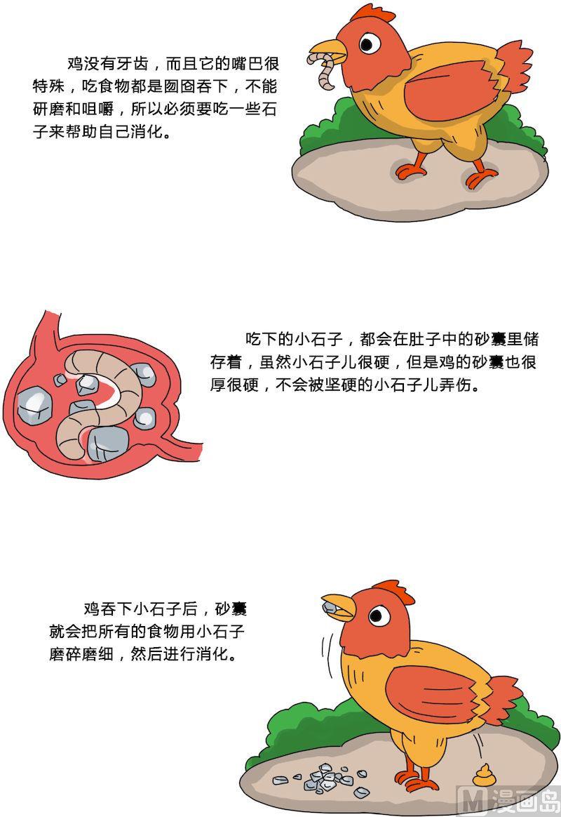 《十万个为什么第一部》05 第7页
