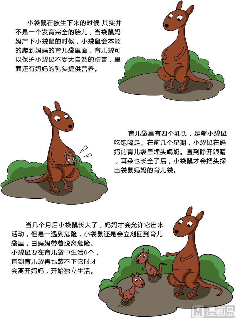 《十万个为什么第一部》08 第3页